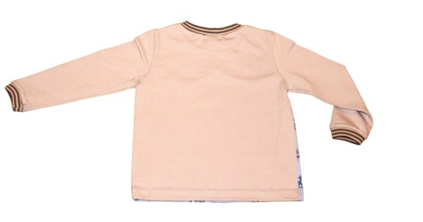 SHIRT SCHILDKRÖTEN – Bild 2
