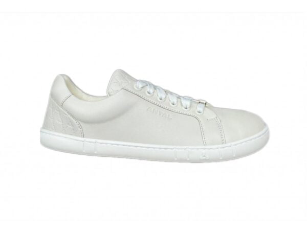 ANTAL - AMADA ANTIQUE WHITE
